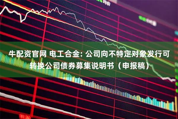 牛配资官网 电工合金: 公司向不特定对象发行可转换公司债券募集说明书（申报稿）